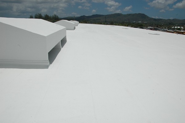 Концентрат для удаления загрязнений RoofCoat Pro Cleaning Concentrate